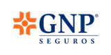 GNP